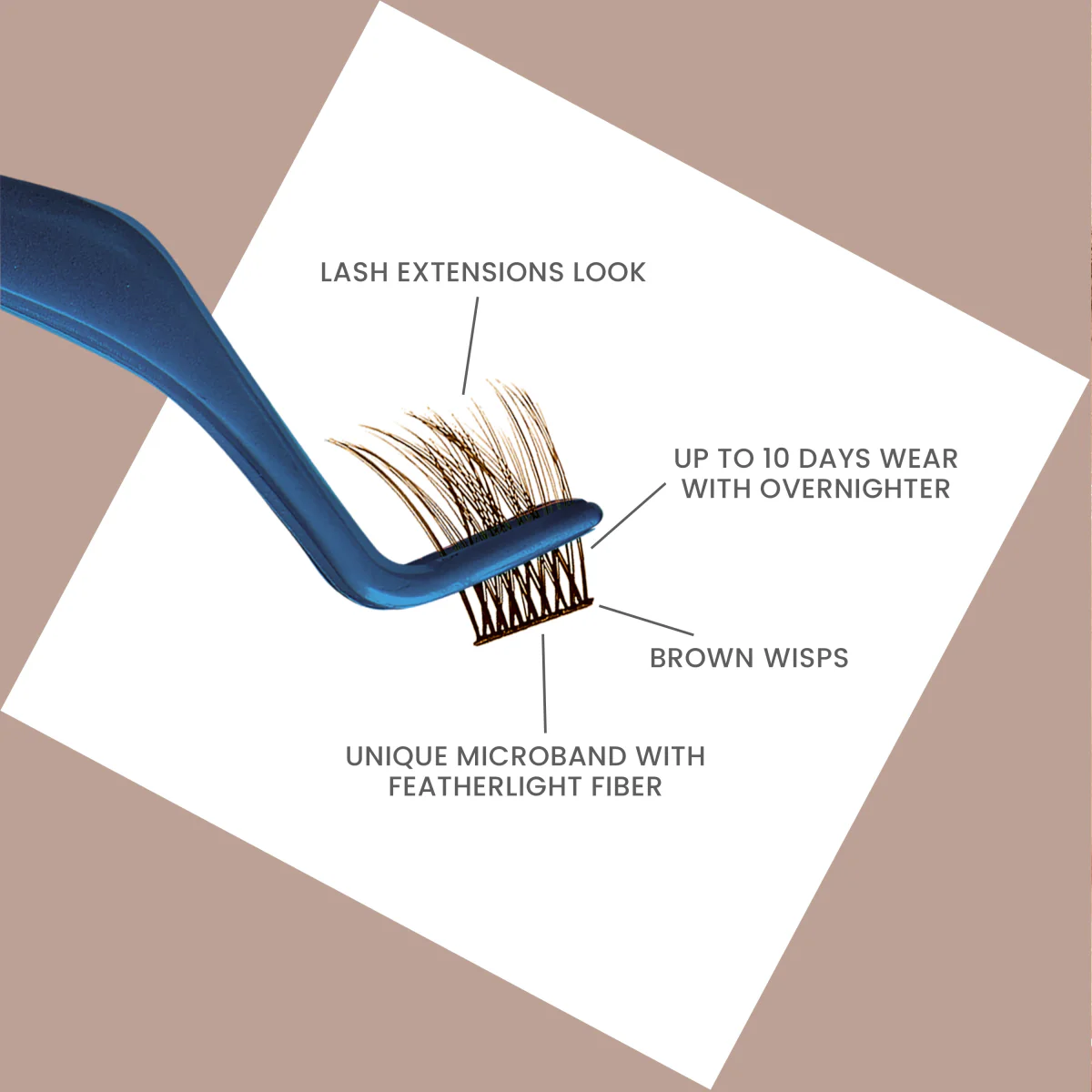FALSCARA Brown Wisps Multipack - Latte - Image 7