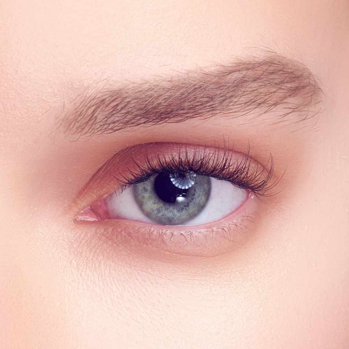 FALSCARA Studio Lash Extension Kit  - Petite Dainty - 54 Wisps - Image 3