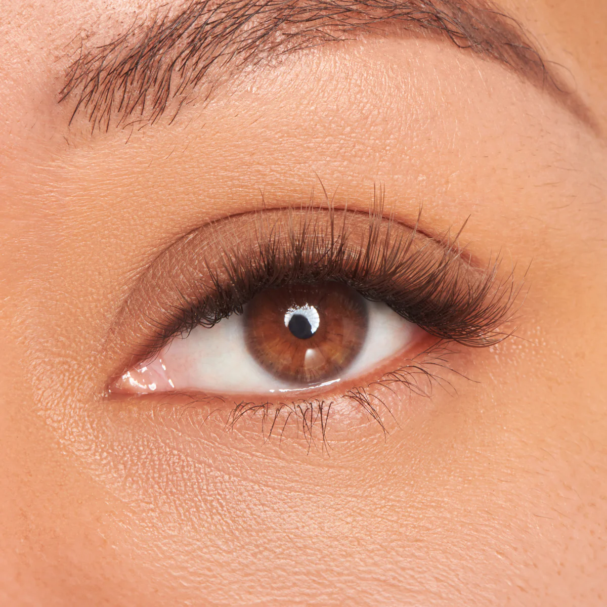 FALSCARA Studio Lash Palette - Dark Chocolate Fluffy - 18 Wisps - Image 2