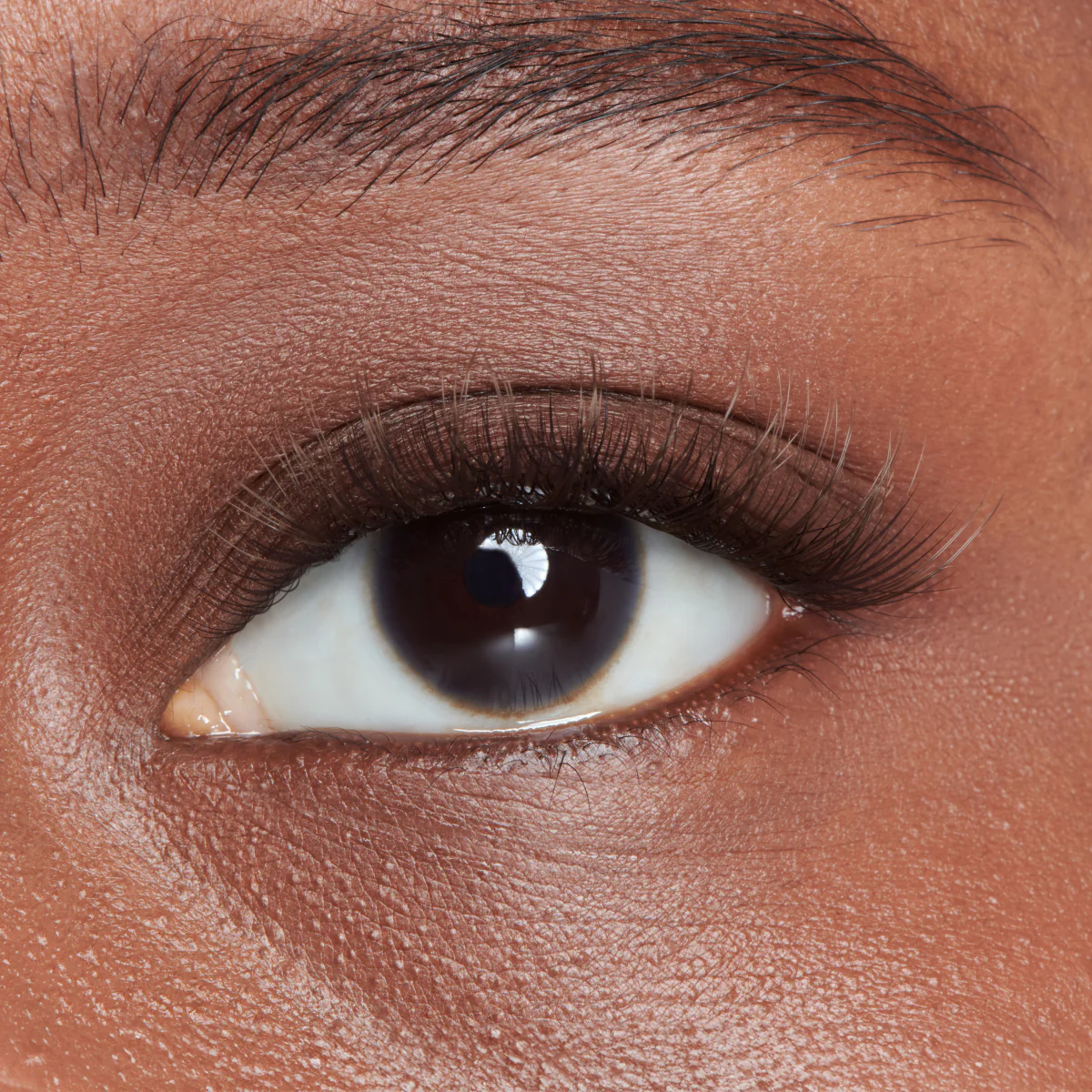 FALSCARA Studio Lash Palette - Dark Chocolate Spiky - 18 Wisps - Image 2