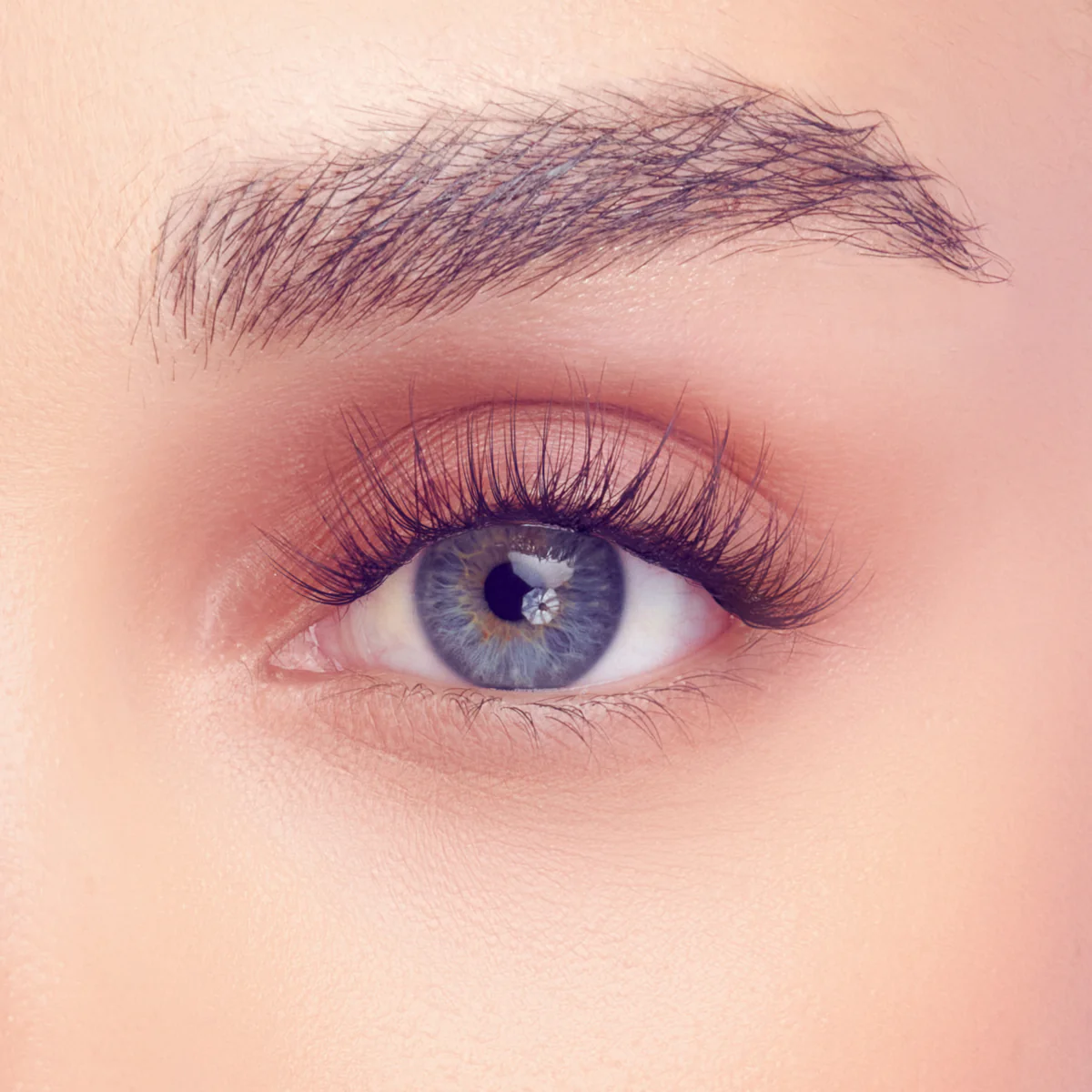 FALSCARA Studio Lash Palette - Delicate Fluffy - 18 Wisps - Image 3