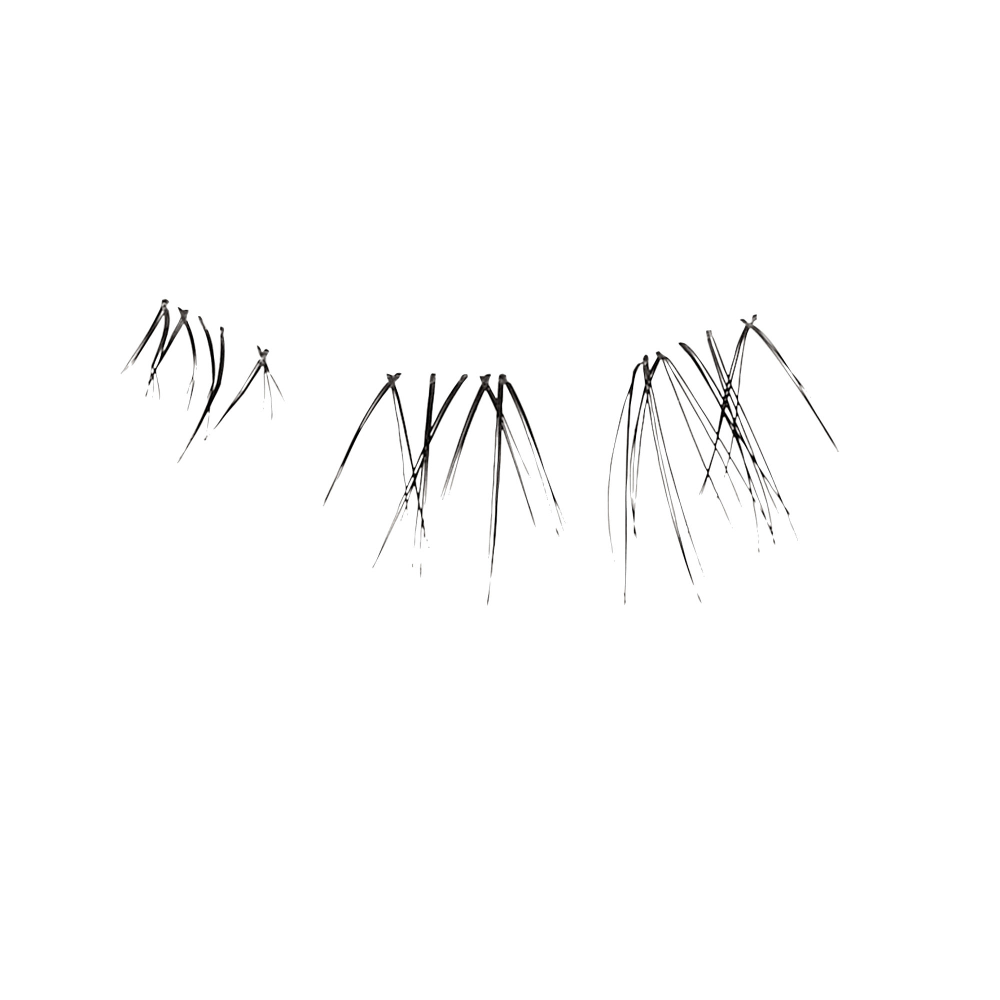 FALSCARA Wisps Multipack – Bottom Lash Clusters - Image 5